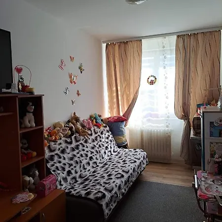 Apartament 3 Ionut Cluj-Napoca